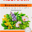 HEUMANN Bronchialtee Solubifix T 30 g